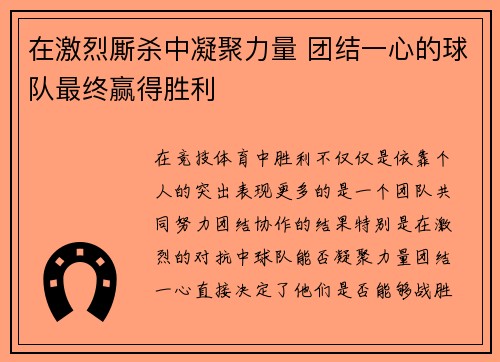 在激烈厮杀中凝聚力量 团结一心的球队最终赢得胜利
