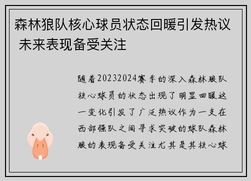 森林狼队核心球员状态回暖引发热议 未来表现备受关注